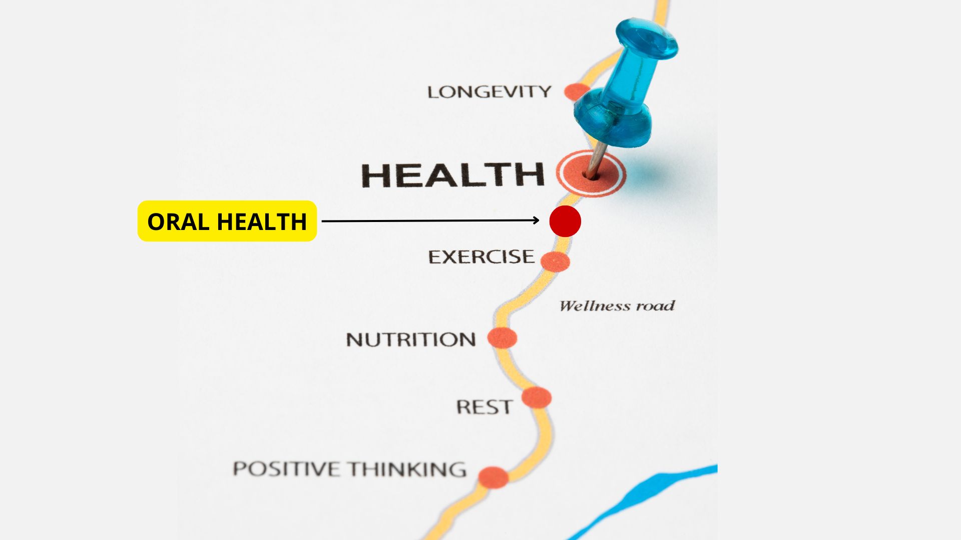 A pushpin marks "HEALTH" on a road map diagram showing stops: longevity, exercise, nutrition, rest, and positive thinking. "ORAL HEALTH" is highlighted and linked to the path.