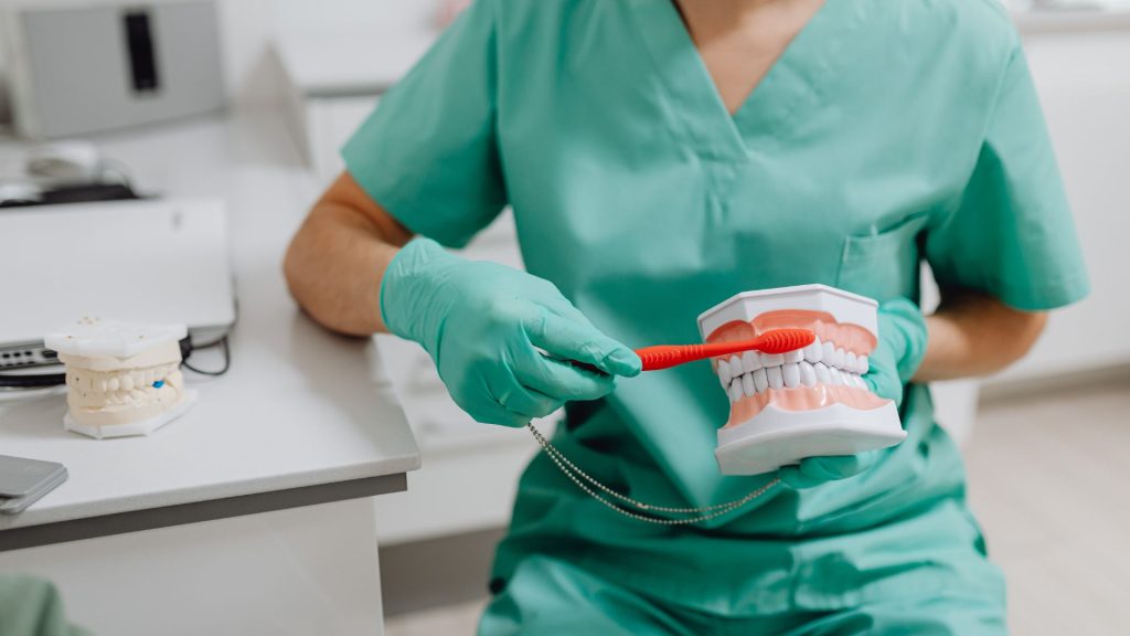 A person in scrubs and gloves demonstrates the ideal oral hygiene routine by brushing teeth using a large toothbrush and a dental model in a clinical setting.