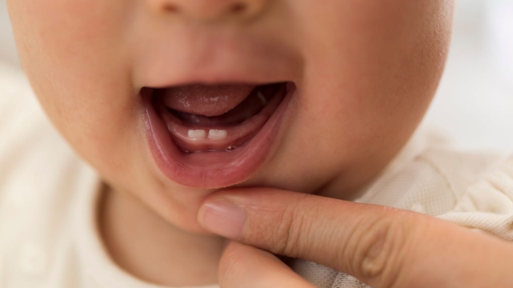 A close-up of a baby's open mouth showing two newly emerged lower front teeth. An adult's finger gently pulls down the baby's lower lip.